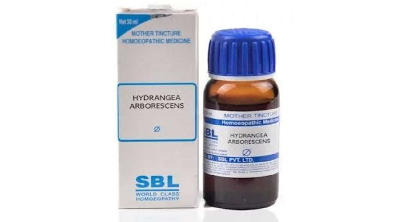 SBL Hydrangea Arborescens bottle and packaging on a white background