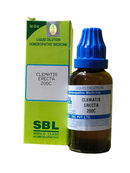 SBL Clematis Erectа 200C homeopathic medicine bottle and packaging on a white background