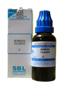 SBL Berberis Vulgaris homeopathic medicine bottle and packaging on a white background