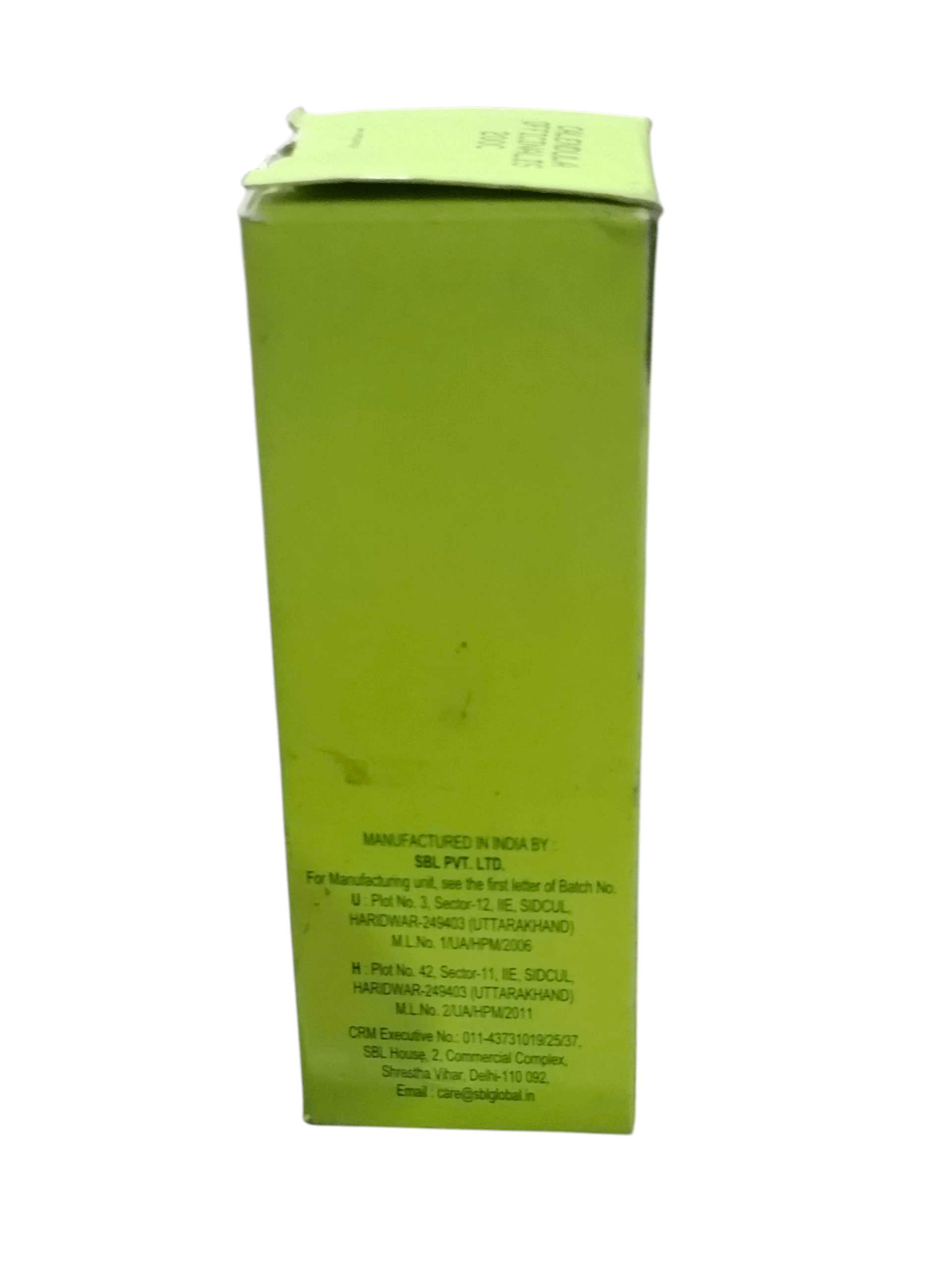 Green box with text on a white background