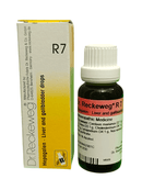 Dr. Reckeweg R7 liver and gallbladder drops with packaging on a white background