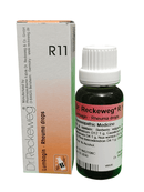Dr Reckeweg R11 Lumbagin Rheuma Drops for lumbago, joint pain and muscle stiffness