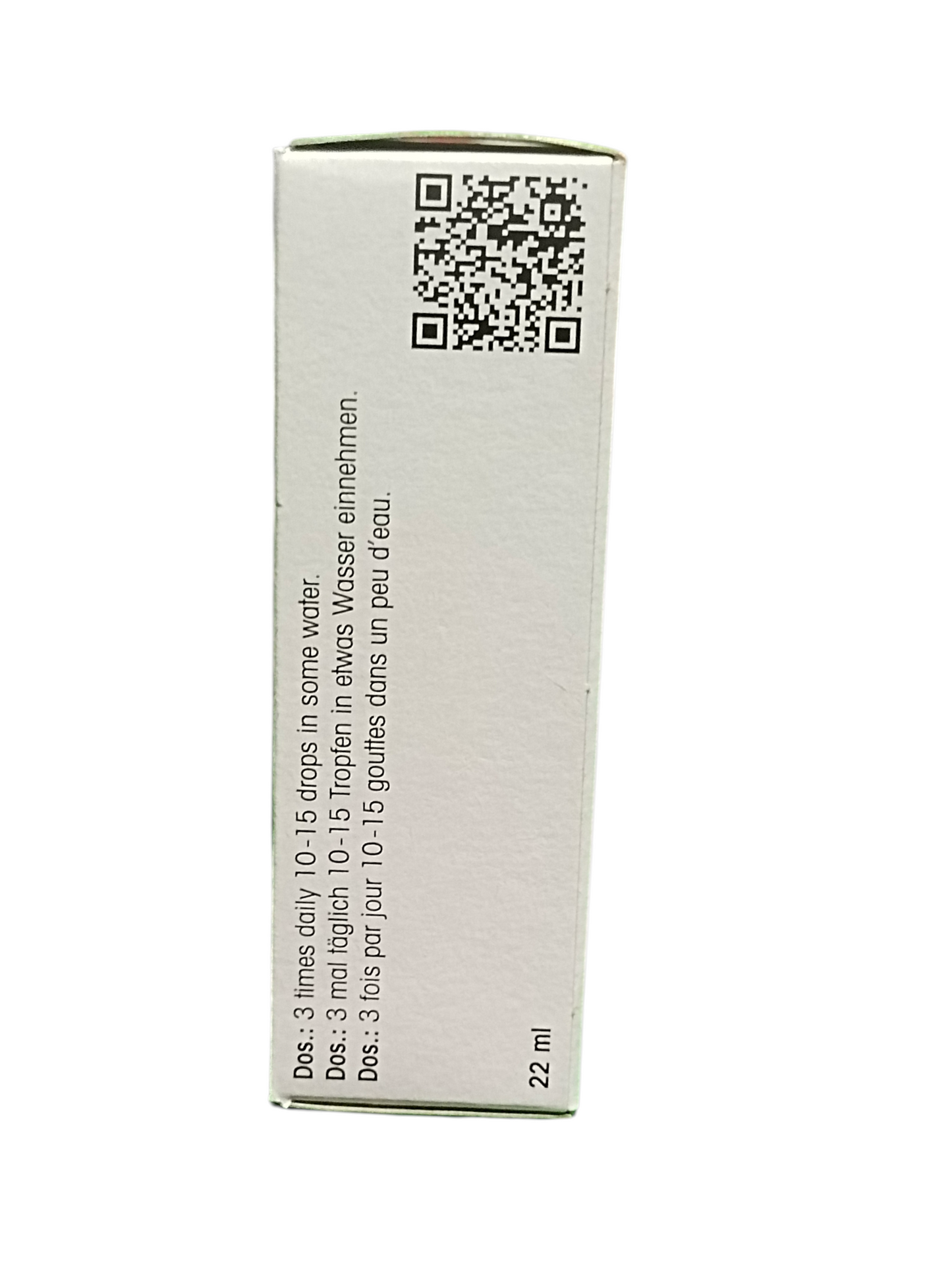 Dr. Reckeweg R29 Theridon Vertigo Syncope Drops 22ml