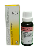 Dr. Reckeweg R37 Colinteston Intestinal Colic Homeopathic Drops 22ml for stomach cramps, gas, and abdominal pain relief