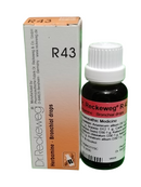 "Dr. Reckeweg R43 Herbamine Bronchial Drops 22ml