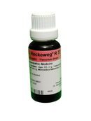 Bottle of Reckeweg R72 pancreatic drops on a white background