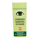 Green packaging of Cineraria Maritima Schwabe with an eye illustration on a white background