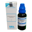 SBL Azadirachta Indica homeopathic medicine bottle and packaging on a white background