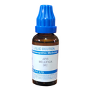 SBL Apis Mellifica 30C 30ml – Homeopathic medicine for allergy, swelling, urticaria, and skin irritation relief"