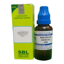 SBL Anacardium Orientale 200C homeopathic medicine bottle and packaging on a white background