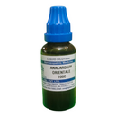 Bottle of Anacardium Orientale 200C liquid dilution on a white background
