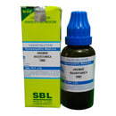 SBL Arundo Mauritanica 200C homeopathic medicine bottle and box on a white background