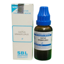 SBL Cactus Grandiflorus homeopathic medicine bottle and packaging on a white background