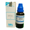 "SBL Ceanothus Americanus Q Mother Tincture 30ml – Homeopathic medicine for spleen health, anemia, and blood support"
