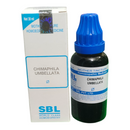 SBL Chimaphila Umbellata homeopathic medicine bottle and packaging on a white background