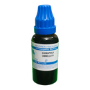 "SBL Chimaphila Umbellata Q Mother Tincture 30ml – Homeopathic medicine for urinary problems, prostate health, and bladder support"