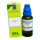"SBL Cantharis 200C 30ml – Homeopathic medicine for UTI, burning urination, bladder infection, and urinary support"