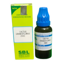 "SBL Cactus Grandiflorus 200C 30ml – Homeopathic medicine for heart health, chest pain, palpitations, and circulation support"