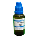 "SBL Chelidonium Majus 200C 30ml – Homeopathic medicine for liver health, jaundice, digestion, and gallbladder support"