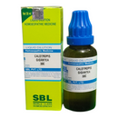Homeopathic medicine bottle and packaging with SBL branding on a white background