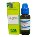 SBL Echinacea Angustifolia 30C homeopathic medicine bottle and packaging on a white background