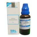SBL Fucus Vesiculosus homeopathic medicine bottle and box on a white background