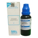 SBL Echinacea Angustifolia homeopathic medicine bottle and box on a white background