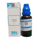 SBL Ginkgo Biloba homeopathic medicine bottle and box on a white background