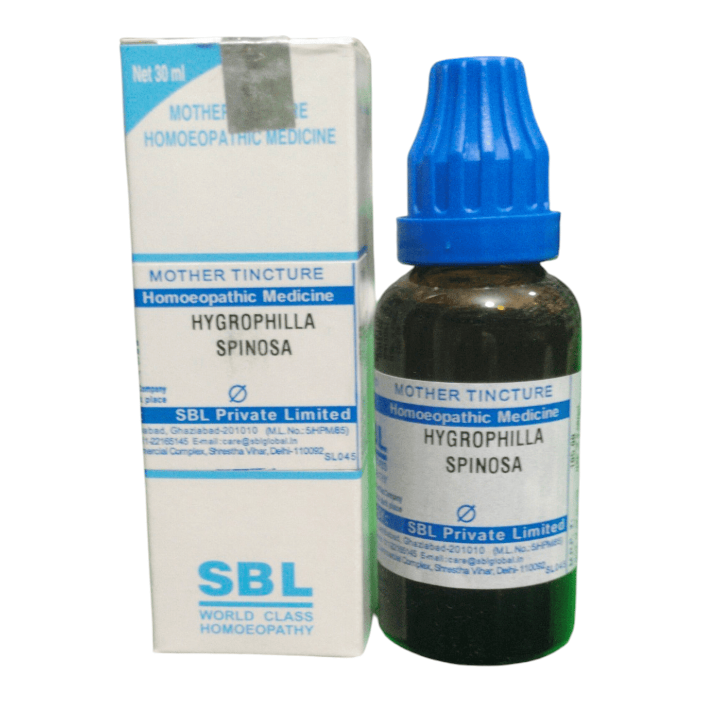 SBL HYGROPHILLA SPINOSA Q MOTHER TINCTURE 30ML - Liquid - Bhanu Pratap