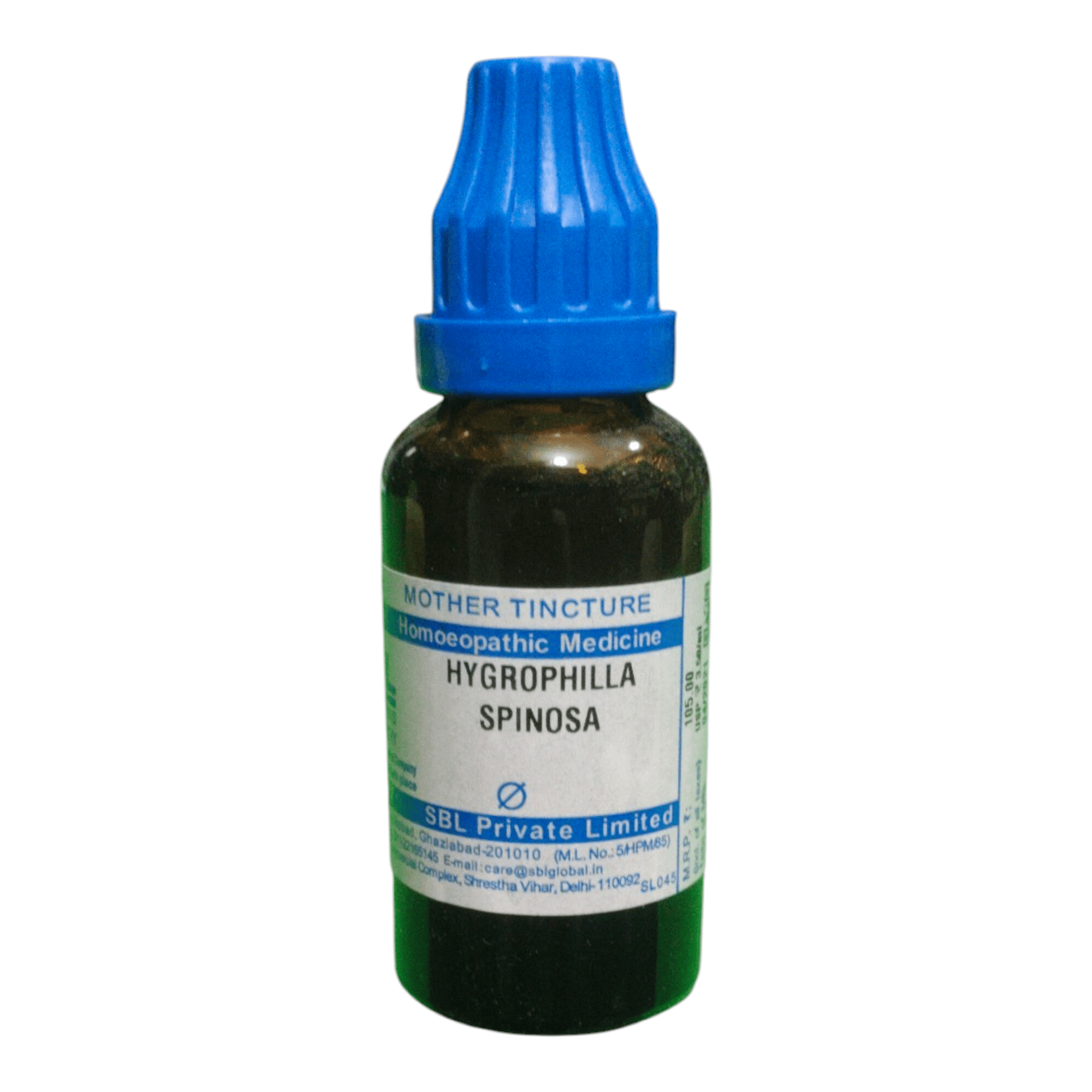SBL HYGROPHILLA SPINOSA Q MOTHER TINCTURE 30ML - Liquid - Bhanu Pratap