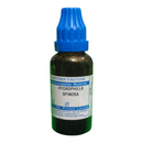Bottle of Hygrophilla Spinosa Mother Tincture on a white background