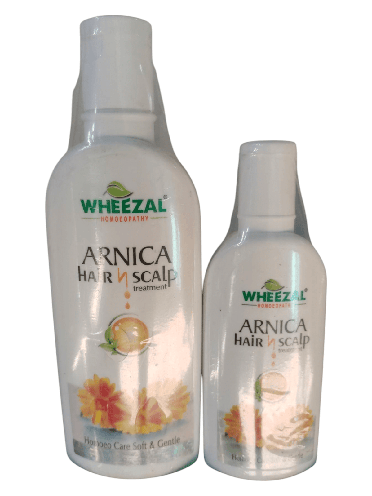 Two bottles of Wheezal Homeopathy Arnica Hair & Scalp Treatment Shampoo, one larger and one smaller, with labels displaying the product information.