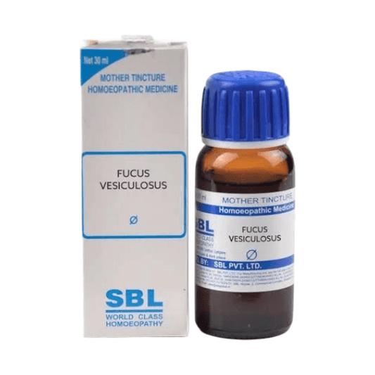 SBL Fucus Vesiculosus homeopathic medicine bottle and packaging on a white background